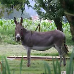 Maison Le Clos Des Anes Holiday home *