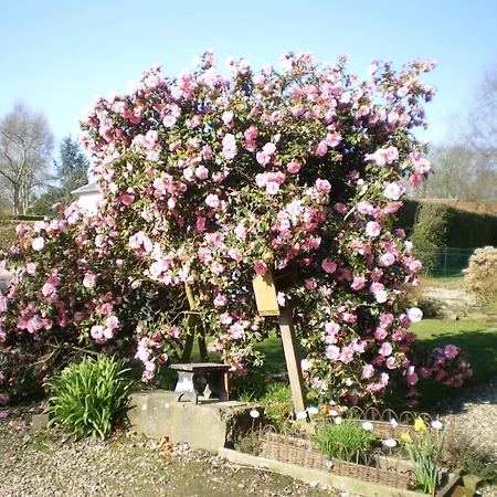 Nyaraló Le Clos Des Anes De Plain-pied