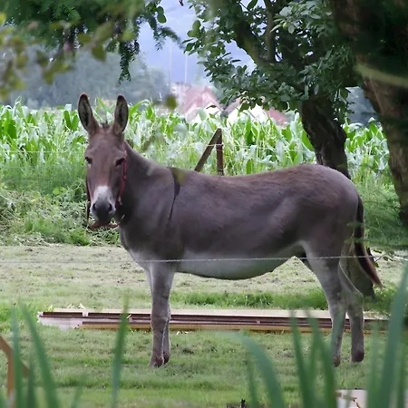 Holiday home Maison Le Clos Des Anes Sainte-Marguerite-Sur-Duclair