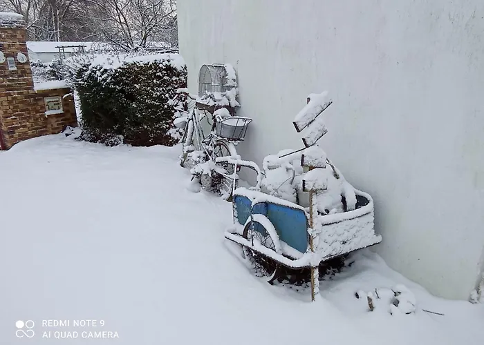 Le Clos Des Anes De Plain-pied *