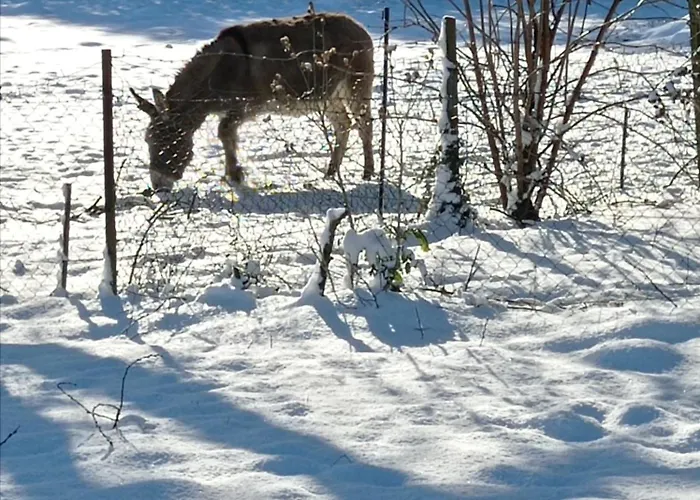 Le Clos Des Anes De Plain-pied * Sainte-Marguerite-Sur-Duclair