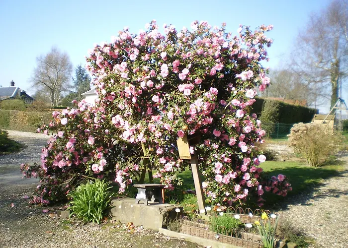 Hébergement de vacances Le Clos Des Anes De Plain-pied